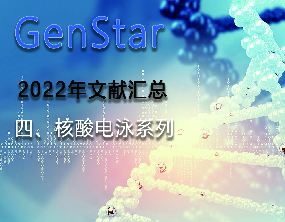 GenStar 2022年文獻(xiàn)匯總（四、核酸電泳系列）